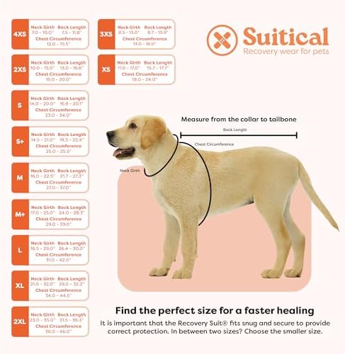 Suitical Recovery Suit for Dogs - Dog Surgery Recovery Suit with Clip-Up System - Breathable Fabric for Spay, Neuter, Incontinence - Back 24-28.3 in, Weight 48-60 lbs Medium +, Black