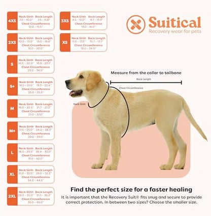 Suitical Recovery Suit for Dogs - Dog Surgery Recovery Suit with Clip-Up System - Breathable Fabric for Spay, Neuter, Incontinence - Back 24-28.3 in, Weight 48-60 lbs Medium +, Black