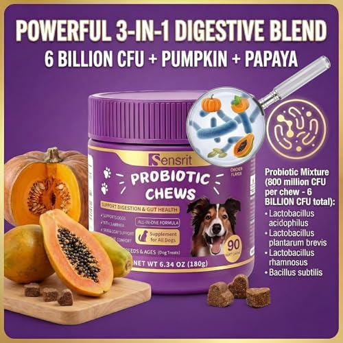 Probiotics for Dogs - 800M CFU Dog Probiotic Chews with Digestive Enzymes & Pumpkin | Seasonal Allergy, Itchy Skin & Immune Support for All Breeds - 90 Soft Chews, Chicken Flavor