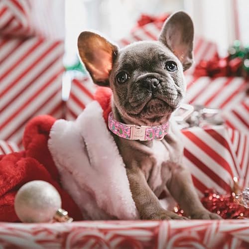 Christmas Dog Collar for Large Dogs - Design Cute Winter Holiday Collars Adjustable Santa Claus Pet Metal Buckle Collar for Puppy Girl Boy Female Dogs L