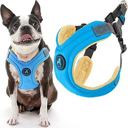 Gooby Escape Free Memory Foam Dog Harness, Step-in, Blue, Small
