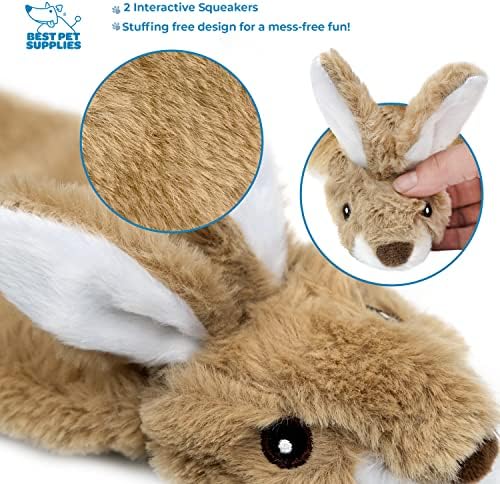 Best Pet Supplies 2-in-1 Stuffless Squeaky Dog Toy - Pack of 4, Large
