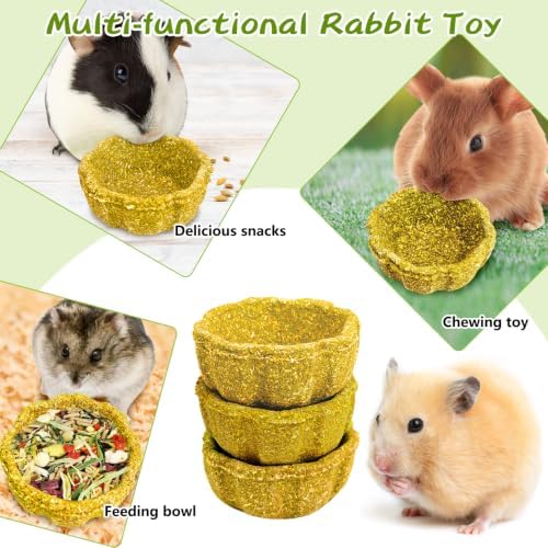 6 Pack Rabbit Chew Toys for Teeth Natural Guinea Pig Toys