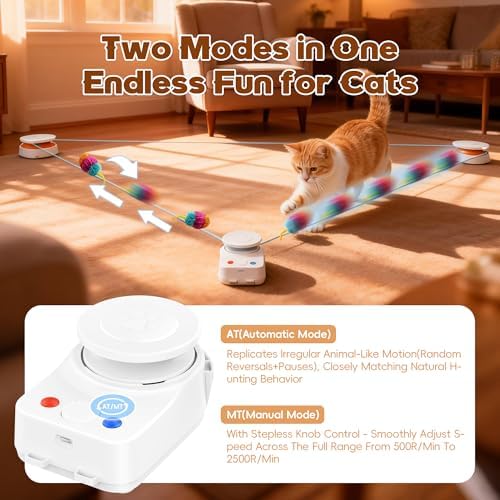 Interactive Cat Toy for Indoor Cat,Automatic Treadmill for Exercise