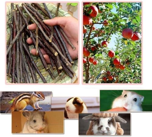 William Craft 1000g Apple Sticks Small Animals Molar Wood Toys for Rabbits Chinchillas Guinea Pig Hamster Gerbil Parrot Bunny and Small Animals Chew Stick Treats (2.2pound)