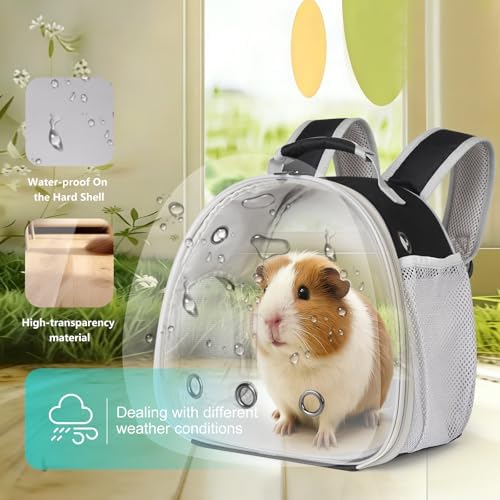 Guinea Pig Backpack, Space Capsule Bubble Window Small Animal Backpack for Guinea Pig, Bird Bunny Rabbit