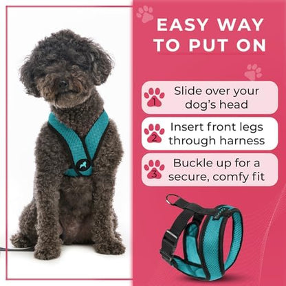 Gooby Comfort X Head-in Dog Harness, Choke-Free, Turquoise, Small