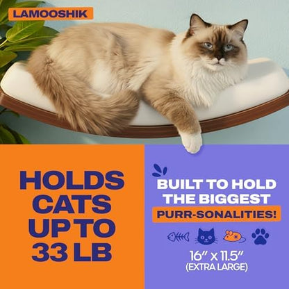 Cat Wall Shelves, Walnut Floating Cat Furniture with Bed & Steps