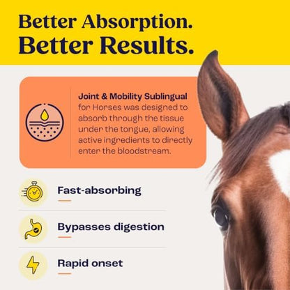 Joint & Mobility Sublingual for Horses, 4pk