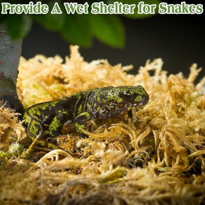 Sphagnum Moss for Reptiles, 3.5 oz Natural Terrarium Bedding Substrate
