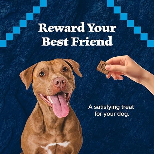Blue Buffalo Wilderness Turkey Crunchy Dog Biscuits, Grain-Free, 10 oz