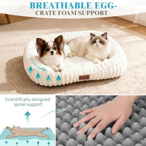 Orthopedic Dog Bed, Washable Small Dog Couch for Senior Dogs