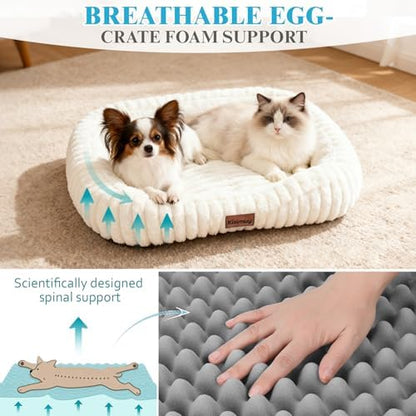 Orthopedic Dog Bed, Washable Small Dog Couch for Senior Dogs