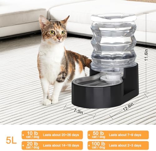 RIZZARI 5L Filtered Cat Water Dispenser: Fresh Water for Indoor Cats