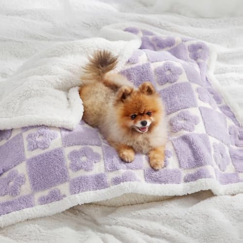 LE SURE Waterproof Dog Blankets for Small Dogs Cute Cozy 3D Jacquard,25x35