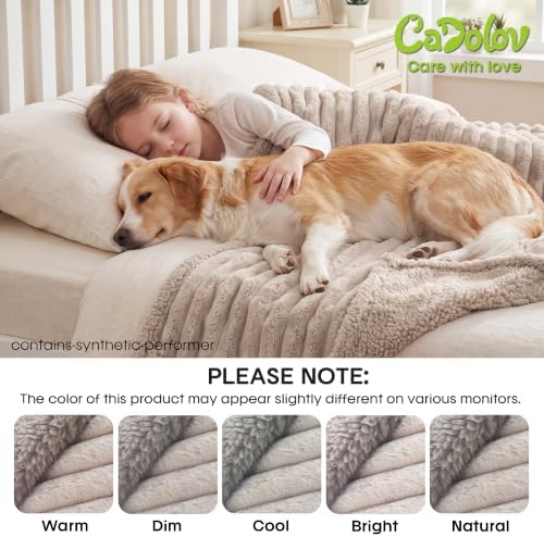 Waterproof Dog Blanket, Washable Reversible Pet Blankets, 19x27in, Camel