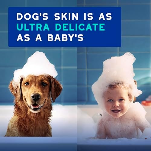 DOUXO SPA Dog Deodorizing Spray, 11.5 fl oz