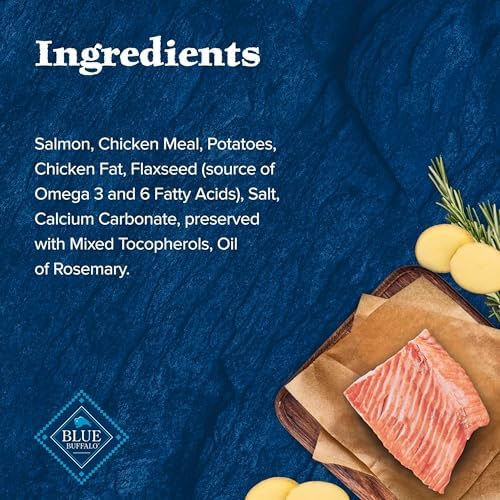 Blue Buffalo Wilderness Salmon Crunchy Dog Biscuits, Grain-Free, 10 oz