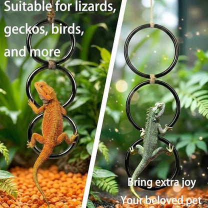 Horsmiyla 3-Ring DIY Snake Climbing Rings for Ball Python Tank Decor