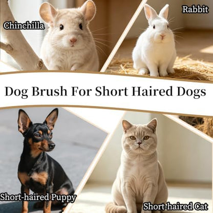 Soft Boar Bristle Dog Brush for Short Haired Dogs, Made of Bamboo,（Small）