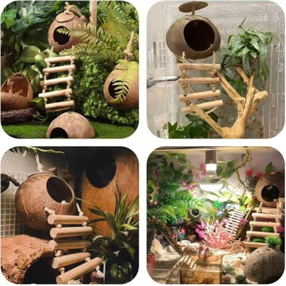 10PCS Crested Gecko Tank Accessories Set – Natural Double Coconut Shell with Ladder, Plants and Bridge Vines for Reptile Terrarium, Leopard Gecko, Lizard, Hermit Crab or Snake Habitat Decor