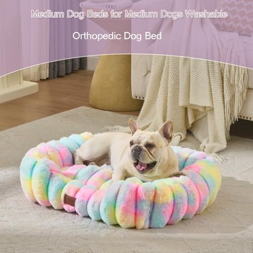 Luxury Dog Beds,Large Sized Dog Washable Furry Pet Beds,Comfort Rectangle Pet Sofa Couch with Ultra,Puppy Beds with Removable Zipper Cover,30x25x7.5inches,Rainbow
