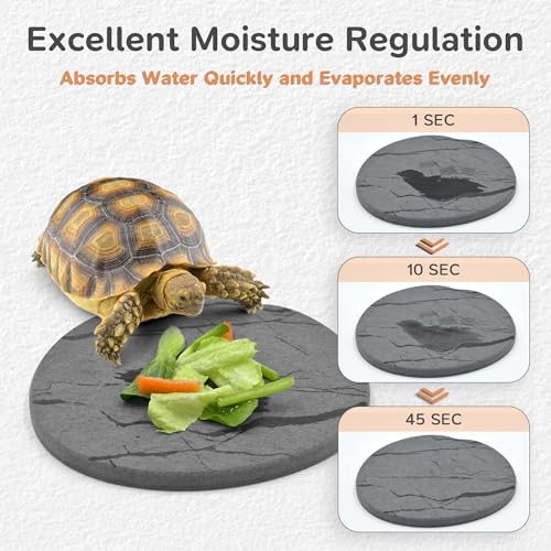 Reptile Basking Platform, 6''x6'' Basking Rocks for Bearded Dragons Turtle