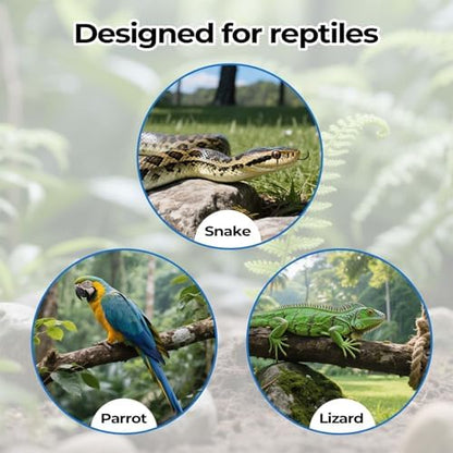 2 Pack Snake Climbing Rings for Ball Python & Corn Snake,Reptile Enrichment Toys for Snake,Ball Python Tank Decor,Reptile Tank Accessories for Bearded Dragon,Chameleon, Iguana, Gecko, Lizard (Green)