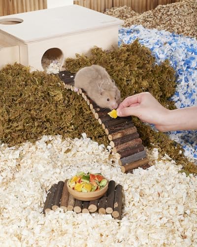 Niteangel Hamster Snack & Treats Toy - Freeze-Dried Sweet Pepper