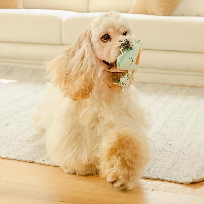 Green Sheep Squeaky Avocado Dog Toy, Plush Puppy Toys for Small Dogs to Keep Them Busy, Eco-Friendly Recycled Cotton Rope Pet Toy