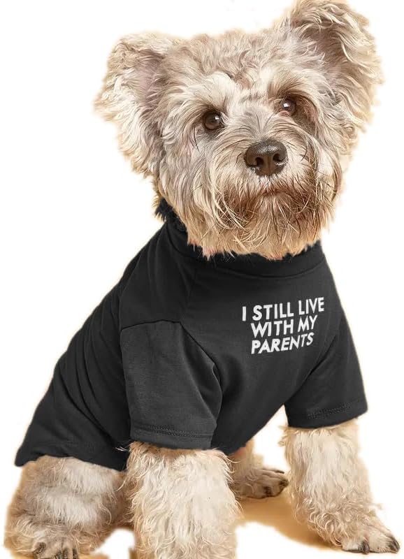 Cute Dog Clothes, T Shirt for Medium and Small Dogs Girl Boy,Puppy.Breathable Soft Dog Costume for Pet Dogs Cats, Pet Pullover Jumper, Cat Clothes XXL-(19~23lb),Chest~21.5",Black, Parents