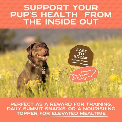 Smart Cookie Salmon Jerky Dog Treats - DHA & Omega Strips for Dogs & Puppies with Allergies, Sensitive Stomachs with Wild Caught Alaskan Salmon- Dehydrated, Grain Free, Made in USA - 3oz Bag Pack of 1
