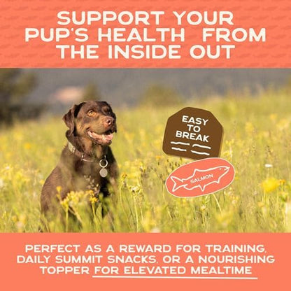 Smart Cookie Salmon Jerky Dog Treats - DHA & Omega Strips for Dogs & Puppies with Allergies, Sensitive Stomachs with Wild Caught Alaskan Salmon- Dehydrated, Grain Free, Made in USA - 3oz Bag Pack of 1