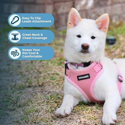Voyager Step-in Lock Dog Harness - Pink, X-Large