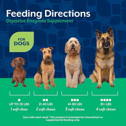 NaturVet – Digestive Enzymes - Plus Probiotics & Prebiotics – Helps Support Diet Change & A Healthy Digestive Tract – for Dogs & Cats (Soft Chews, 120 Count) (Pack of 2)