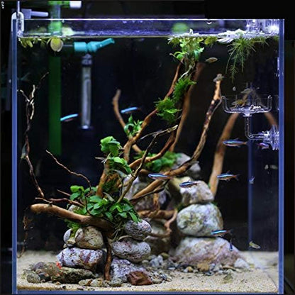 Aquarium Shrimp/Small Fish Feeding Dish Feeder Dish, Acrylic Material, Mini Size (Sakura Shaped)