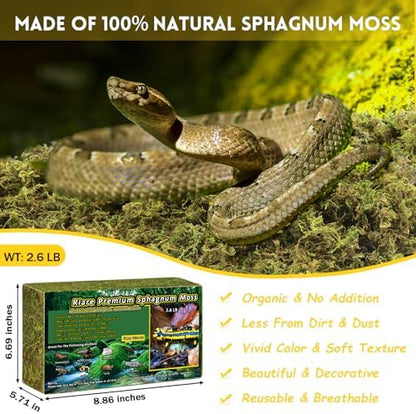 Riare 2.6lb Natural Sphagnum Moss for Reptiles, Terrarium Substrate Bedding