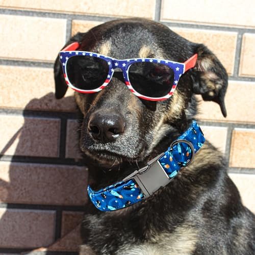Dog Collar, Summer Rocket Durable Metal Boy Dog Collars Adjustable Pet Collar for Small Medium Large Dogs