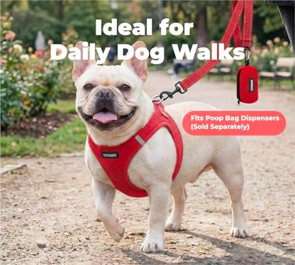 Best Pet Supplies Voyager Nylon Dog Leash - Red, Small