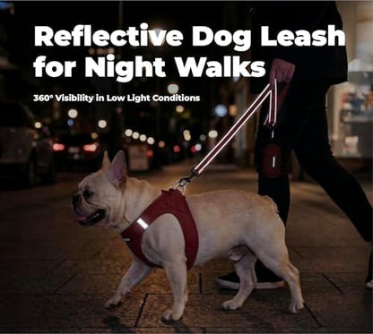 Best Pet Supplies Voyager Nylon Dog Leash - Red, Small