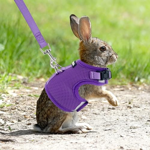 AIITLE Adjustable Rabbit Harness and Leash Set Escape Proof, Purple M