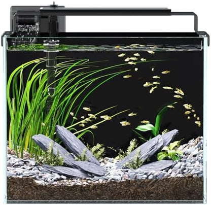 3 Gallon Fish Tank Aquarium Starter Kit with Filter Light Lid Rimless Glass
