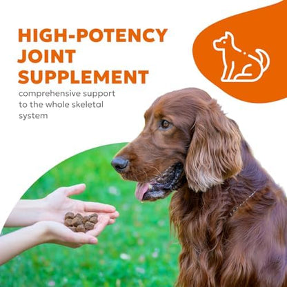Dog Hip & Joint Supplement Soft Chews – Advanced Mobility & Comfort Support – Glucosamine, Chondroitin, MSM, Turmeric, Boswellia, Collagen – 60 Count