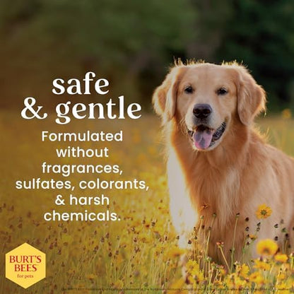 Burts Bees for Pets Hypoallergenic Dog Shampoo, 16 Fl Oz, 6-Pack