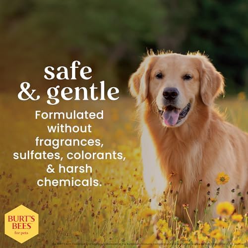 Burts Bees for Pets Oatmeal Dog Shampoo, Honey Scent, 32 Fl Oz Bottle
