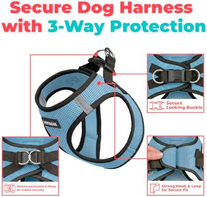 Voyager Step-in Air Dog Vest Harness - Baby Blue/Black Trim, Small