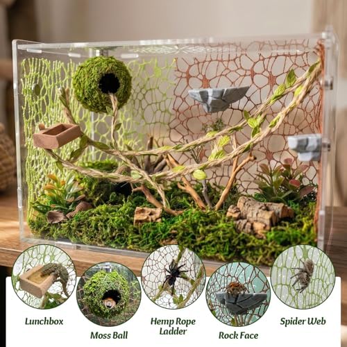 Jumping Spider Enclosure Accessories Kit - Magnetic Moss Ball Hideout, 2 Rock Ledges, Feeding Bowl, Climbing Mesh Nets & Rope Ladder - Natural Forest Habitat Decor for Regal (Moss Cave with Rope)