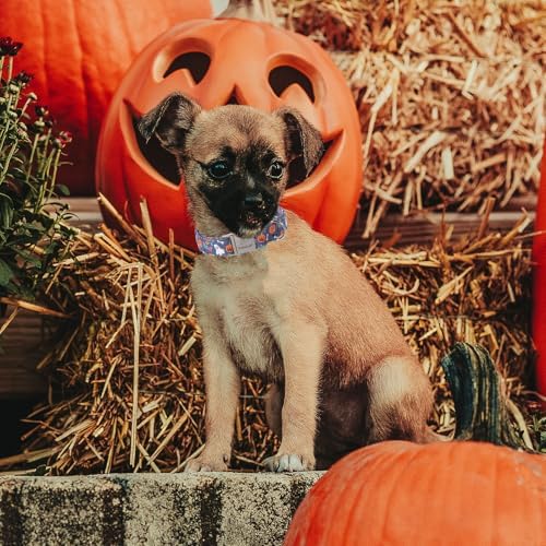 Halloween Dog Collar for Large Dogs - Cute Halloween Ghost Pumpkin Dog Collars, Adjustable Heavy Duty Pet Holiday Collar with Metal Buckle XL