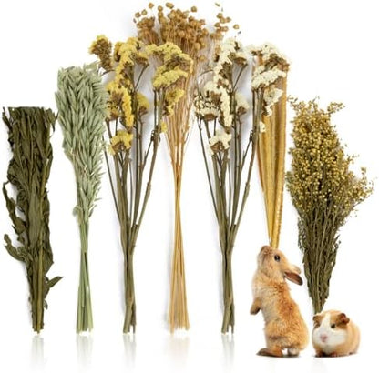 Sukh 47pcs Hamster Sprays - Natural Flower Herb Bedding Forage Mix for Cage
