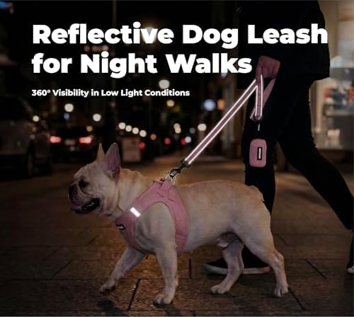 Best Pet Supplies Voyager Nylon Dog Leash - Pink, Large
